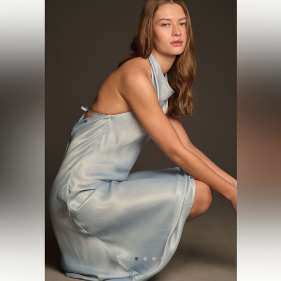 NWT Conditions Apply Reidun Halter Cowl-Neck
Midi Dress Medium Petite - Picture 3 of 7